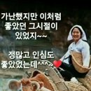 무괴아심