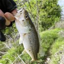 어둔저수지 | 양주 배스 포인트 어둔저수지 (남방지) 처음가본 후기