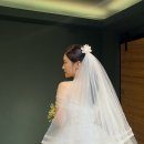 광주 웨딩드레스 대여 더프레야 드레스샵 찐후기