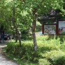 순천 나무숲 이미지