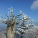 태백산 전경 이미지