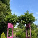 새마을로1길-2 이미지