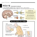 만성원광한의원 이미지