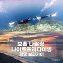 광명 | 보홀 나팔링 프리다이빙 후기 광명보라카이 수중스냅, 나이트다이빙 체험