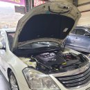 강변카모터스 | SM7 뉴아트 VQ2.3 김해 중고차 꿀벌카 판매 후기