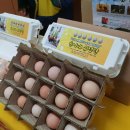 김종필농장 | 장성군 정보화연구회 페이스북 마케팅 교육 4일차 내상품 런칭쇼 순이네 유정란 농장(2.15)