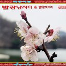 발랑낚시터 이미지