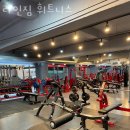 라인휘트니스 | 평촌역헬스장 라인짐 휘트니스 이벤트 후기