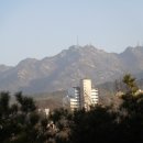 삼성산터널길 Daum카페