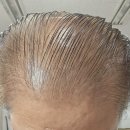 머리나라 이미지