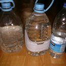 고능말로 이미지