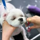 수원-0591 이미지