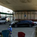 당나루물꽃승마마을 이미지