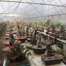 한솔농원 이미지