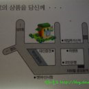 중앙동-03 이미지