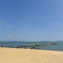 퓨전수제돈까스 이미지