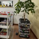 환경독서교실 | 아이들의 웃음소리가 스며있는 공간-한우리남광이도 독서교실 설명회 후기