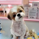 오늘도 너에개 이미지