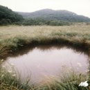 금강석 - 중구 남대문로 22 | 금강석