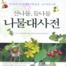 정구영농장 네이버블로그