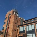 타미 | [동탄] 동탄 대형카페 바스타미 방문후기