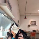 33살..좋은강안병원에서 태어나 처음 입원, 수술 후기 ^_^ㅜㅡㅜ입원생활 1 (2.13~2.14)