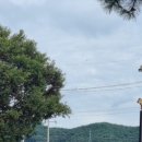 월야농협 한우마을 이미지