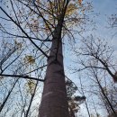 부귀면행정복지센터 이미지