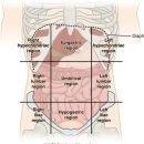 덕천우리약국 이미지