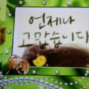 아낌없이주는나무