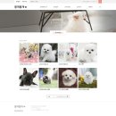 개린이 집합소 | 뭉개뭉개 부천반려견분양은 건강문제100%책임분양으로 운영중입니다.