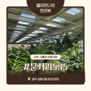 자유로 베이커리 | 문지리535 파주 대형 카페 식물원 베이커리 카페 방문 후기