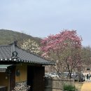 황토오리가마구이식당 | 대구팔공산맛집 팔공산식당아기랑 포춘황토오리가마구이 가족식사 후기