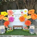 성남초등학교 병설유치원 이미지