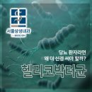첨단은내과의원 | [동작 소화기내과] 헬리코박터균, 당뇨 환자라면 왜 더 신경 써야 할까?
