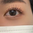 브로우쉼터 이미지