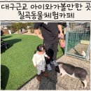 칠곡경북 동물약국 | 대구근교 아이와가볼만한곳 칠곡동물체험카페 방문기