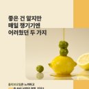 올리브 농장 이미지