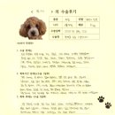 1437 | [#1437] 뿌끼(양측 슬개골탈구 G3)의 수술후기