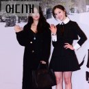 다솜 이미지