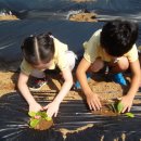 화곡농장 이미지