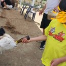 풍류농장 이미지