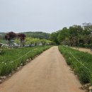 힐링요양병원 이미지