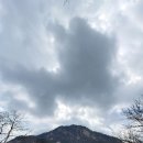 아미타사 Daum카페