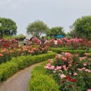 한밭수목원 이미지