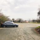 황금오리알 이미지