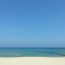 수평선