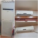 우성댓잎 이미지