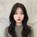 양산 물금 미용실 매료 이든, 손질 편한 허쉬컷 허쉬펌 후기