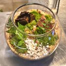 [10/29]가드닝 클래스 | 부산 이색데이트 테라리움 원데이클래스 추천 '제이드앤'